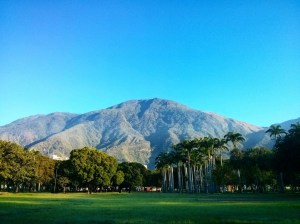 View of cerro Ávila Mountain in Caracas, Venezuela, with lush green trees and a clear blue sky